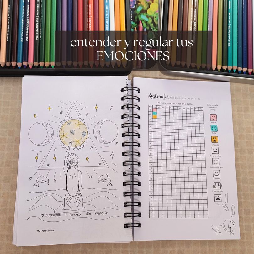 Mi cuaderno interior - Imagen 11